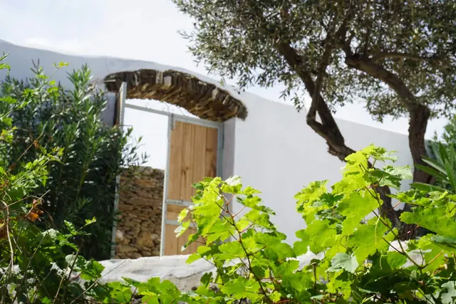 Κήπος