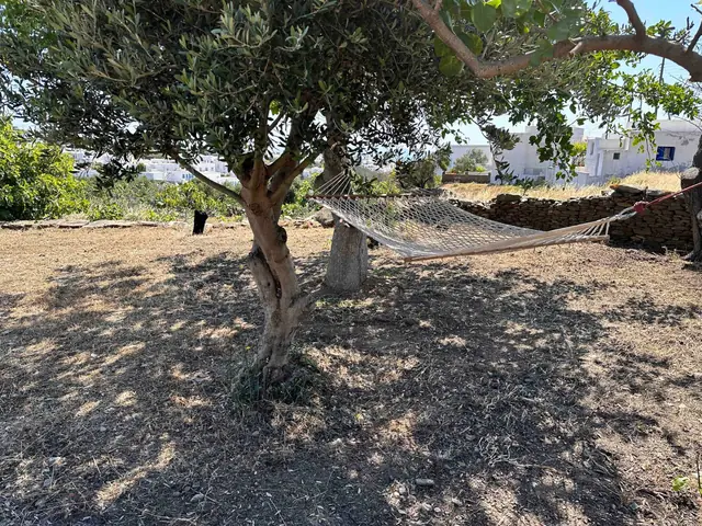 Κήπος