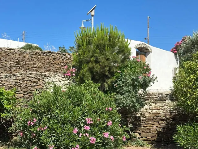 Κήπος