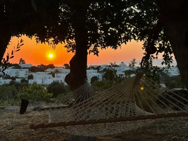Κήπος